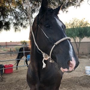 Meet your Posher, Lorena